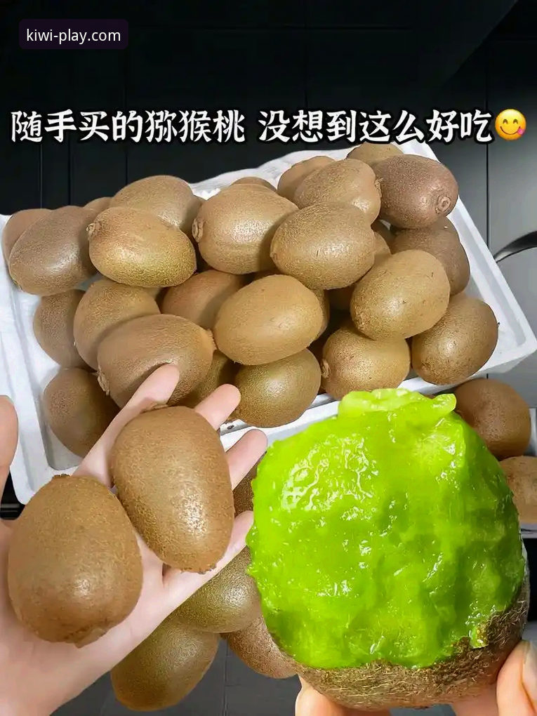 奇异果娱乐高品质服务最新版 奇异果娱乐高品质服务最新版深度评测:从新手到高手的完整上手指南